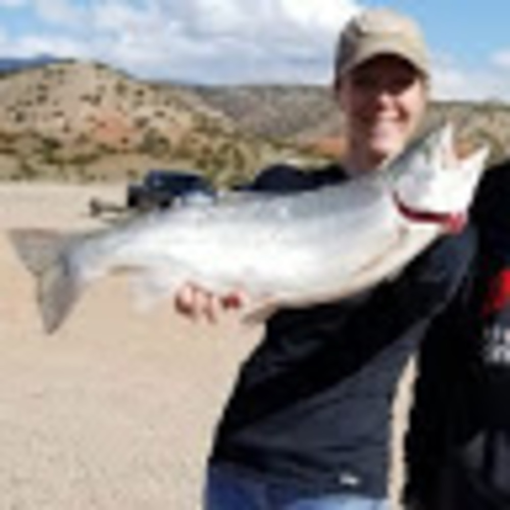 Meet your Posher, Angela